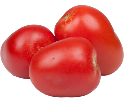 An image of roma tomatoes isolated on white.