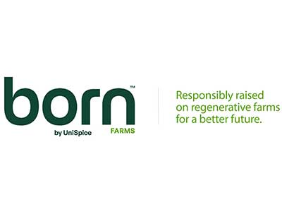 Unispice BORN logo