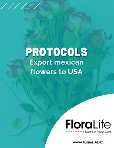 Teal title sheet from the Floralife document entitled: PROTOCOLS Export Mexican Flowers to USA