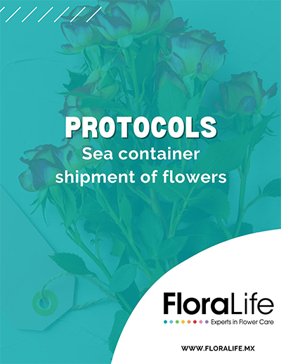 Teal title sheet from the Floralife document entitled: PROTOCOLS Sea container shipment of flowers