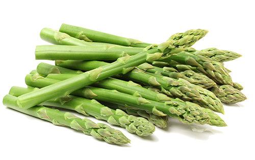 Fresh green asparagus on white background.