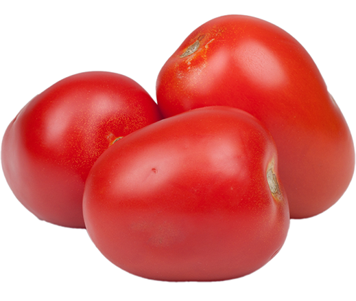 An image of roma tomatoes isolated on white.