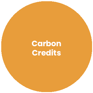 Circle with the words Carbon Credits in the center