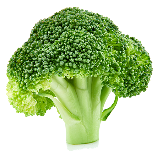 raw broccoli isolated on white background