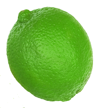 A single green lime
